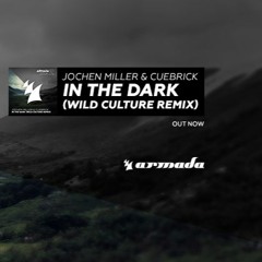 JOCHEN MILLER, CUEBRICK - IN THE DARK (Wild Culture Remix)