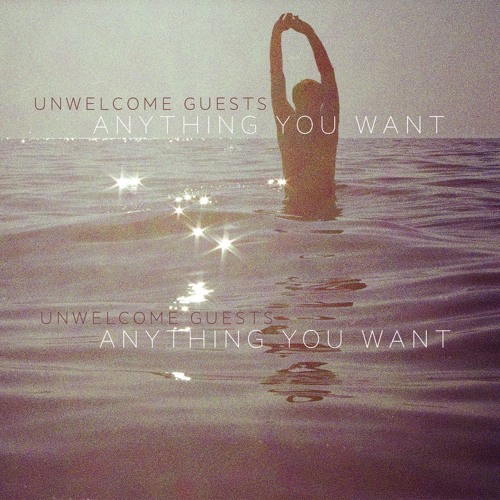 Unwelcome Guests - Anything You Want