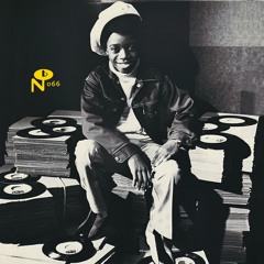 Brother's Rap - The Revolution Will Not Be Televised