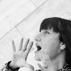 Voces Silvia Wordpress