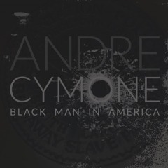 Black Man In America