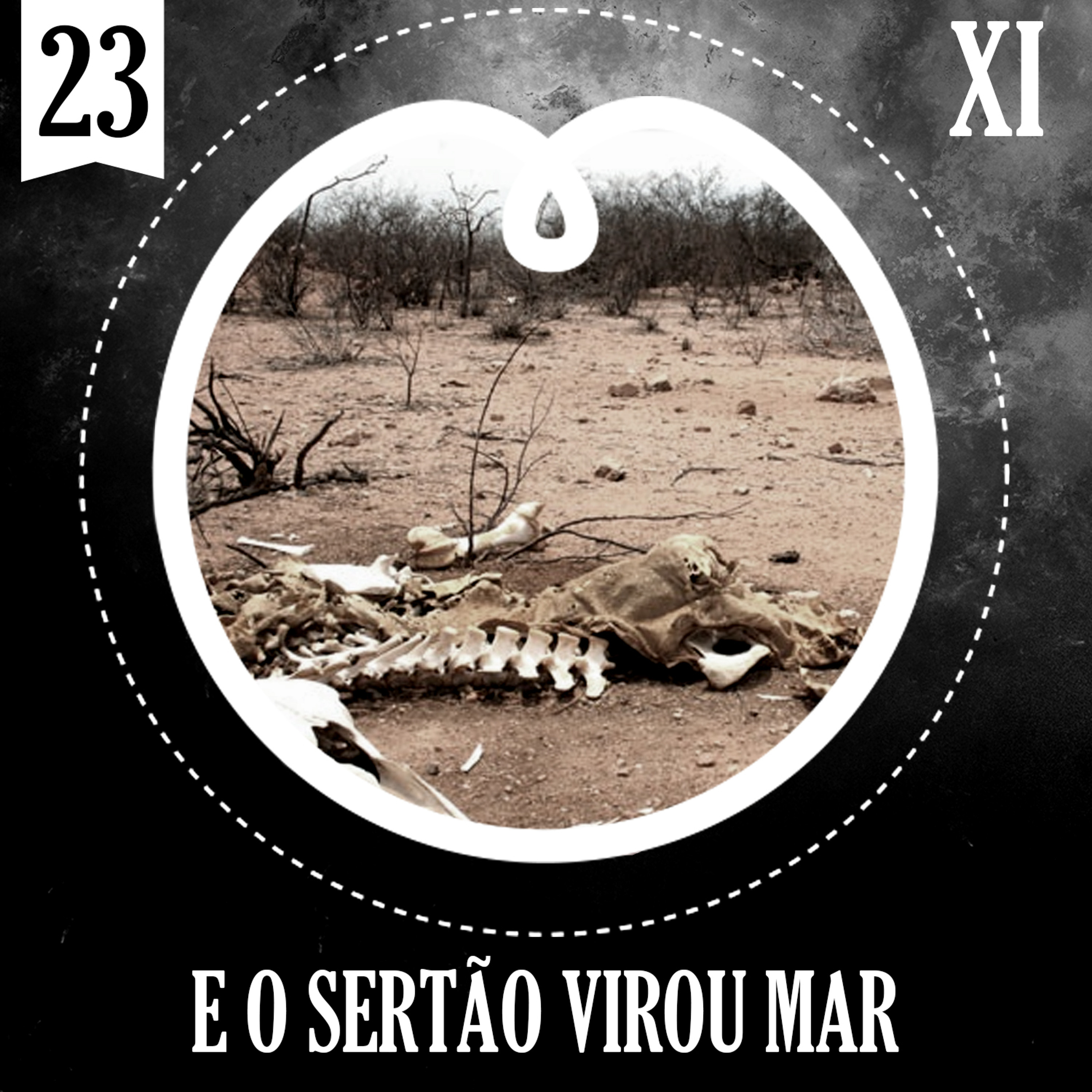23 - DIÁRIO DO MENESTREL - XI - E O SERTAO VIROU MAR