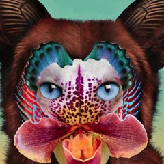 Galantis – No Money (MOTi Remix)