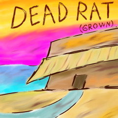 dead rat (prod. ben10k)