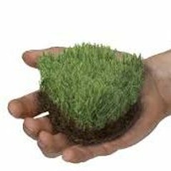 Zaysia Turfno