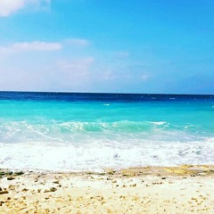 بنت بلادي .. فارس