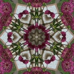 Blinded by the light