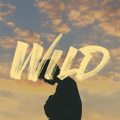 Troye Sivan - WILD (Miles Canady Remix)