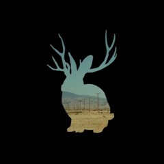 Silvia by Miike Snow