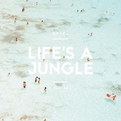 LIFE'S A JUNGLE | Vol. 16