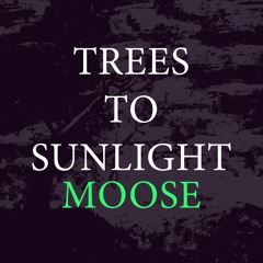 Trees to Sunlight