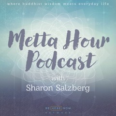 Sharon Salzberg Metta Hour - Ep. 29 - Equanimity And Faith