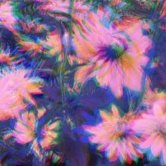 Shoegaze Love 83