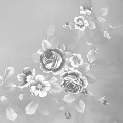 Still Don't Understand (SVVIRL Remix)