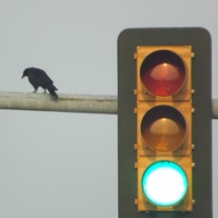 FOBD (Ronin Vox Mix)[pre-production]