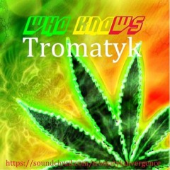 Who Knows - Tromatyk (EP-Sensory) Beatfreak'z Record (Raggatek)