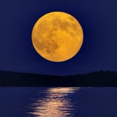 Understood Moons (Tribute to Jaco)