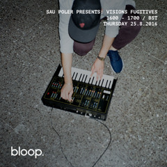 Visions Fugitives w/ Sau Poler - 25.8.2016