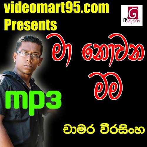 02 - CHANDRA MANDALE