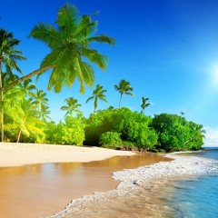 Viva La Playa