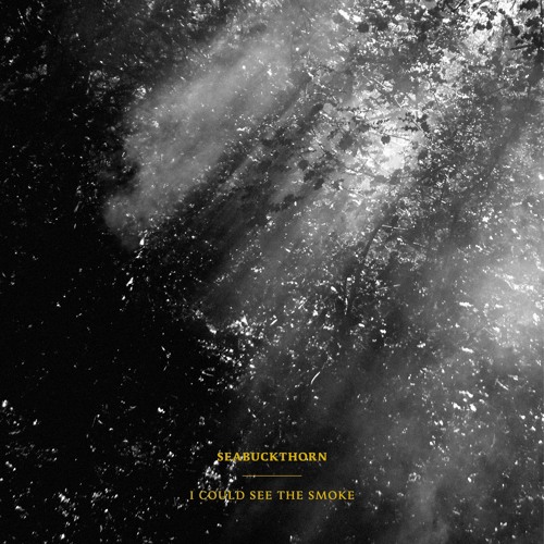 Seabuckthorn - Returnee (from I Could See The Smoke EP)