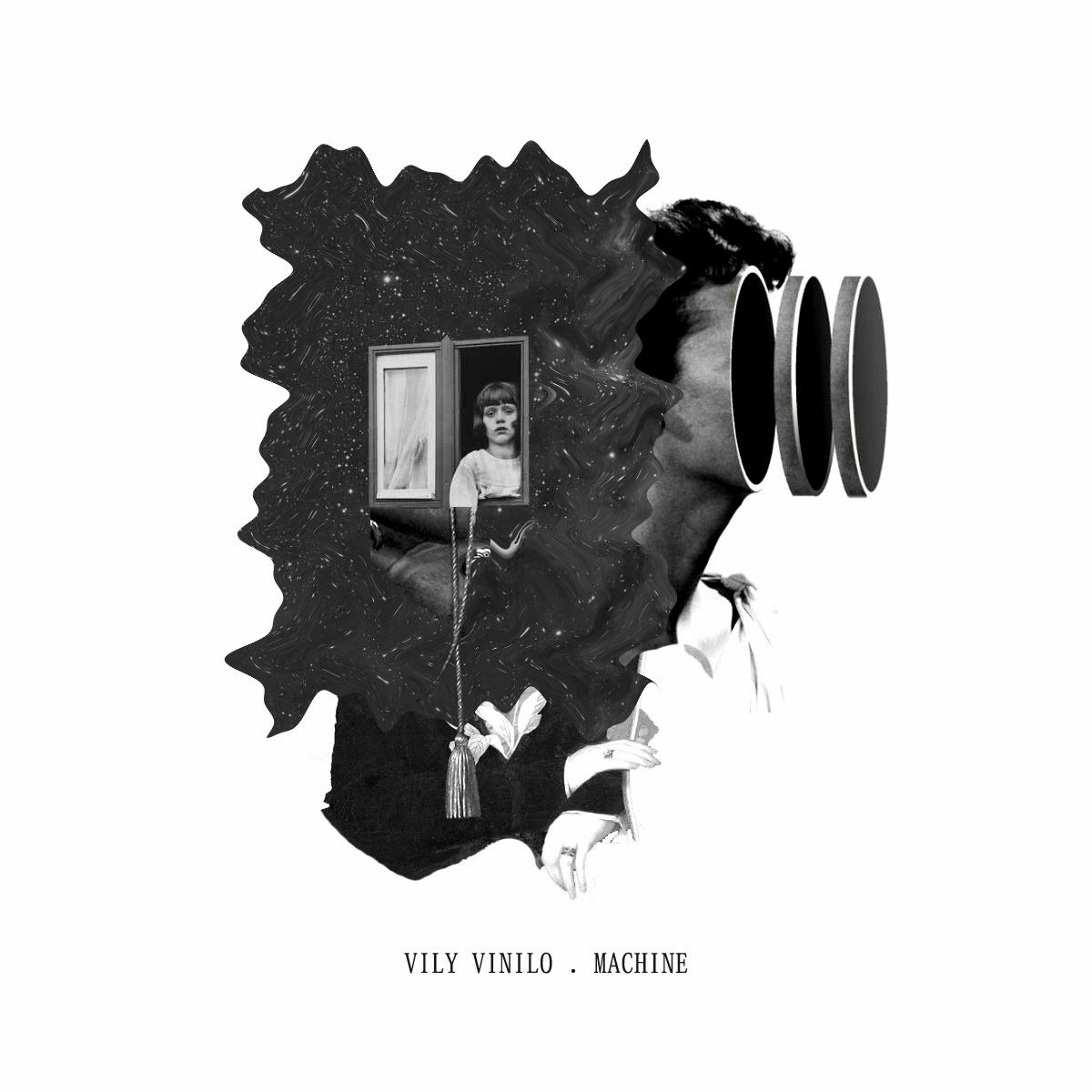 Vily Vinilo