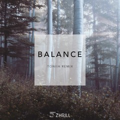 The Him ft. Oktavian - Balance (Toniia Remix)