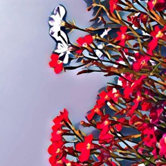 Recent collaborations