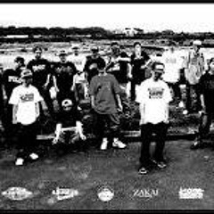 SDP MIX 2016
