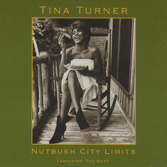Nutbush City Limits [The 90's Version 12'' Mix]