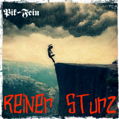 PIK-FEIN - REINER STURZ  (Original Mix)  |  ((FREE DOWNLOAD))
