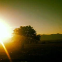 Coffee Prince OST - Tearliner - Regretto.mp3