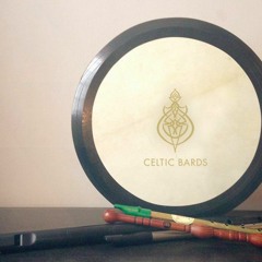 Celtic Bards: Star Of The County Down feat. Cara(Cover)