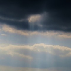 Weekes of Sandwich - The Dirt Beneath...