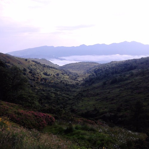 O.C.A. & Houman: Ce qui faisait de toi (What made you)