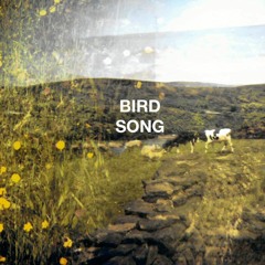 Birdsong