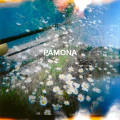 Pamona/Haughmond Visions