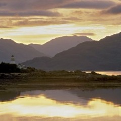 Belligerent Constituent