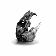 RABBIT IN THE CAGE - Tatsache (Oldschool Version)