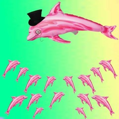 Dolphin Conspiring