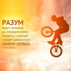 Цитата о разуме
