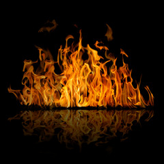 MadhouseDUDE - Flock