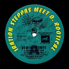 Iration Steppas Meet D. Rootical - Reminiscence (Retrospection Mix) (1)