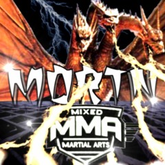 Mixed Martial Arts I