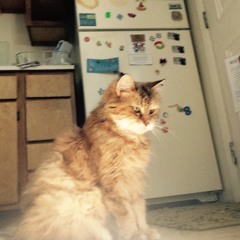 I'll Be Watchin' You (every breath you take) originally by The Police