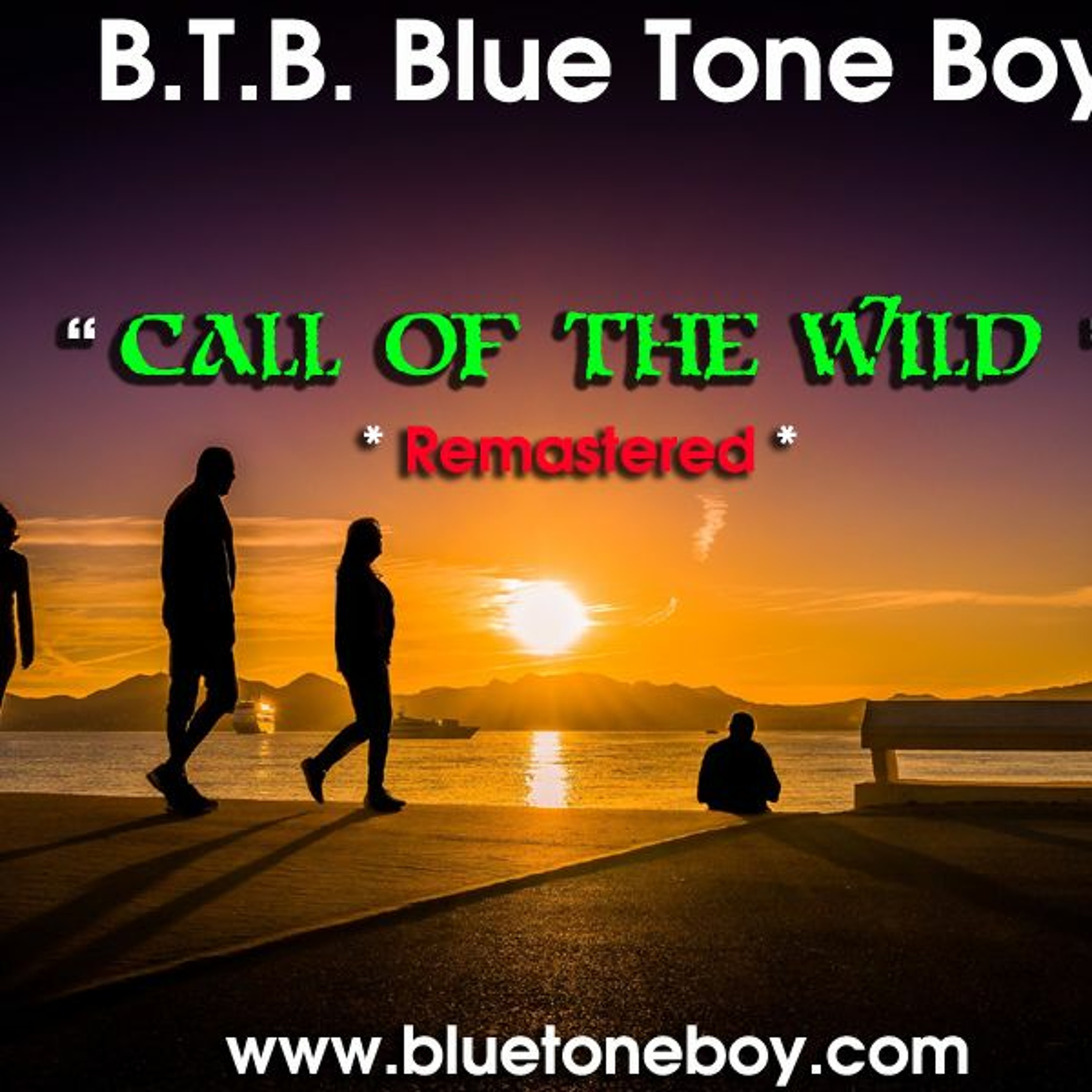 B.T.B. ~ " Call Of The Wild " *  Remastered * Chill Out breaks episode artwork