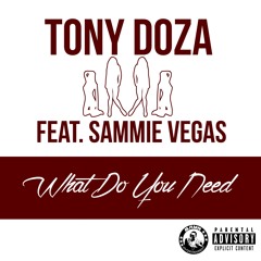 What Do You Need Feat. Sammie Vegas (Prod By Dreamlife)