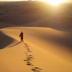 Wayfaring Stranger (A Cappella Cover)