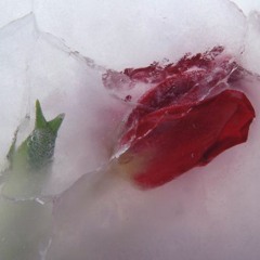 Crispin Glover And The Aura Fantasma