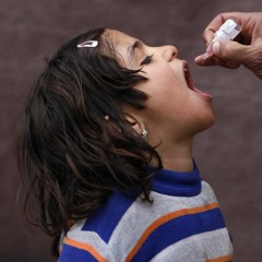 #TFOD (The Fate Of Diseases) --- SynTalk